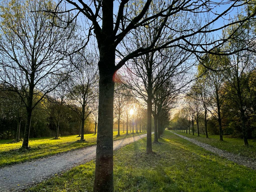 Flierveld 6 , 2151 LG Nieuw-vennep 35